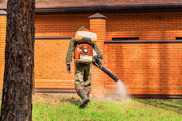 Trusted Cockroach Control service in Kennesaw State University, GA - Nex Pest Control
